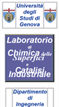 Mobile Screenshot of catalisidichep.unige.it