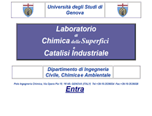 Tablet Screenshot of catalisidichep.unige.it